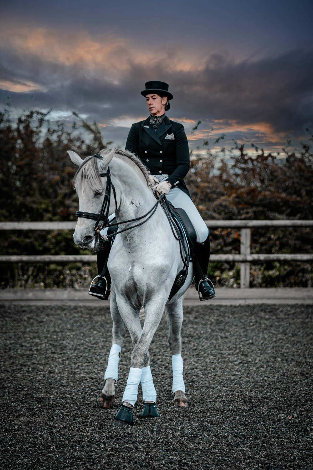 A dressage rider riding a dressage horse in a dressage coaching session